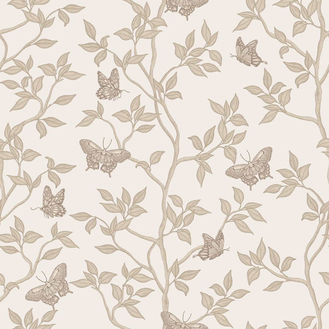 Monarch Non-Pasted Wallpaper - A swatch of Monarch Unpasted Wallpaper in fawn | Tempaper#color_fawn
