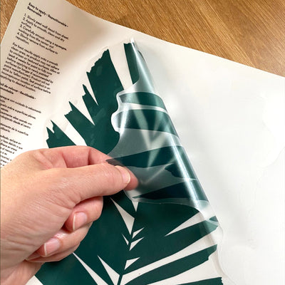 A person holding Tempaper's Graphic Palm Leaf Wall Decals.
