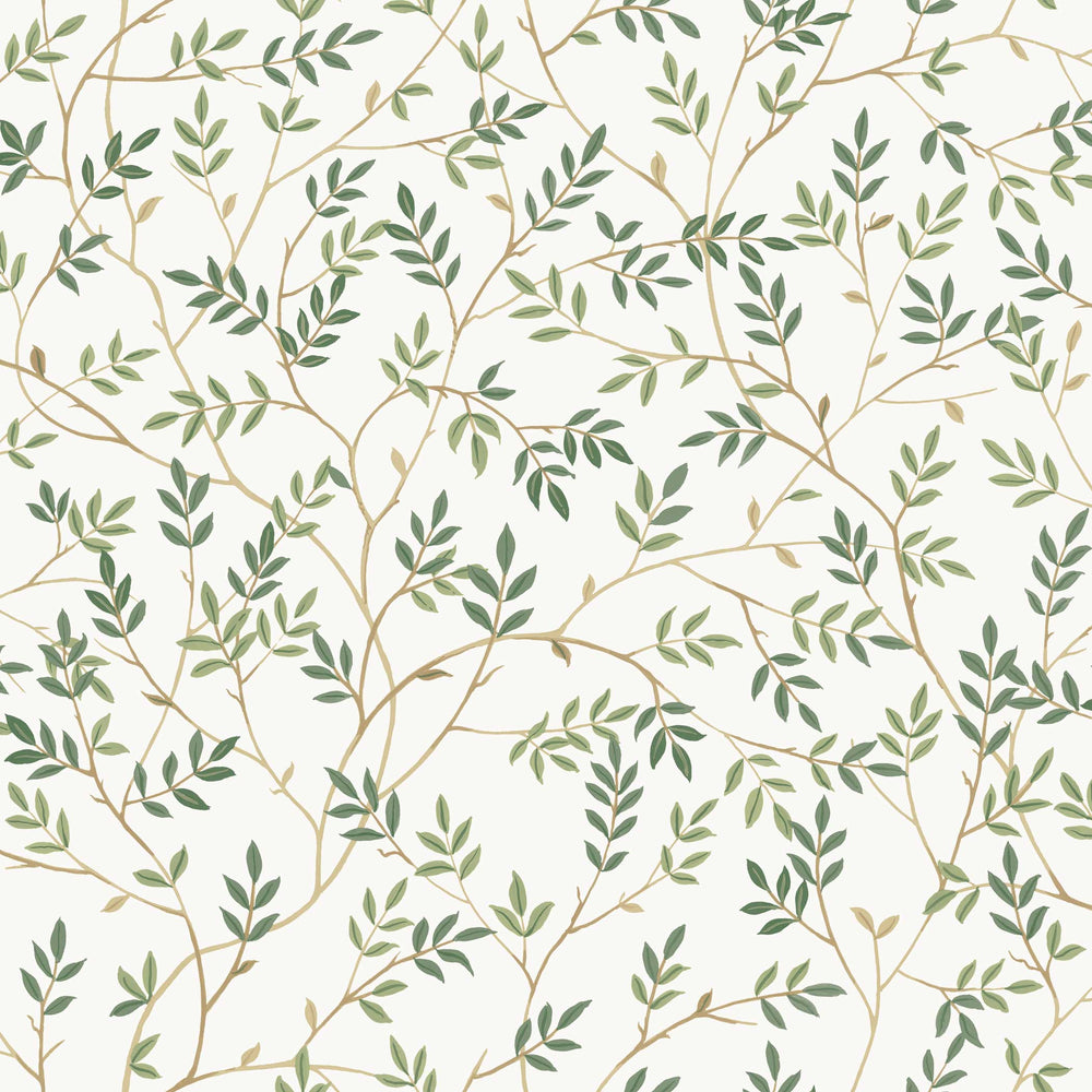 #color_fern-green-branches