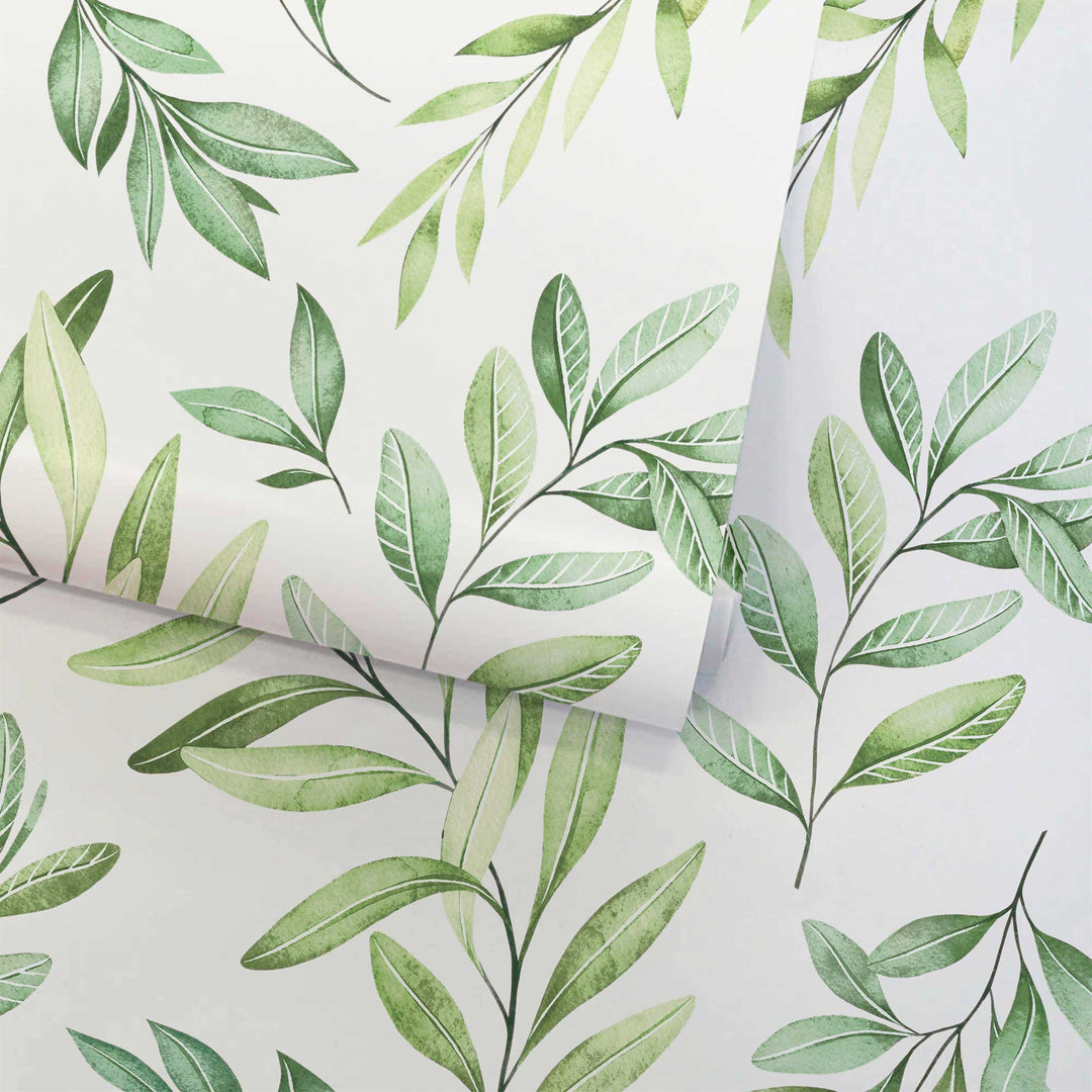 #color_natural-green