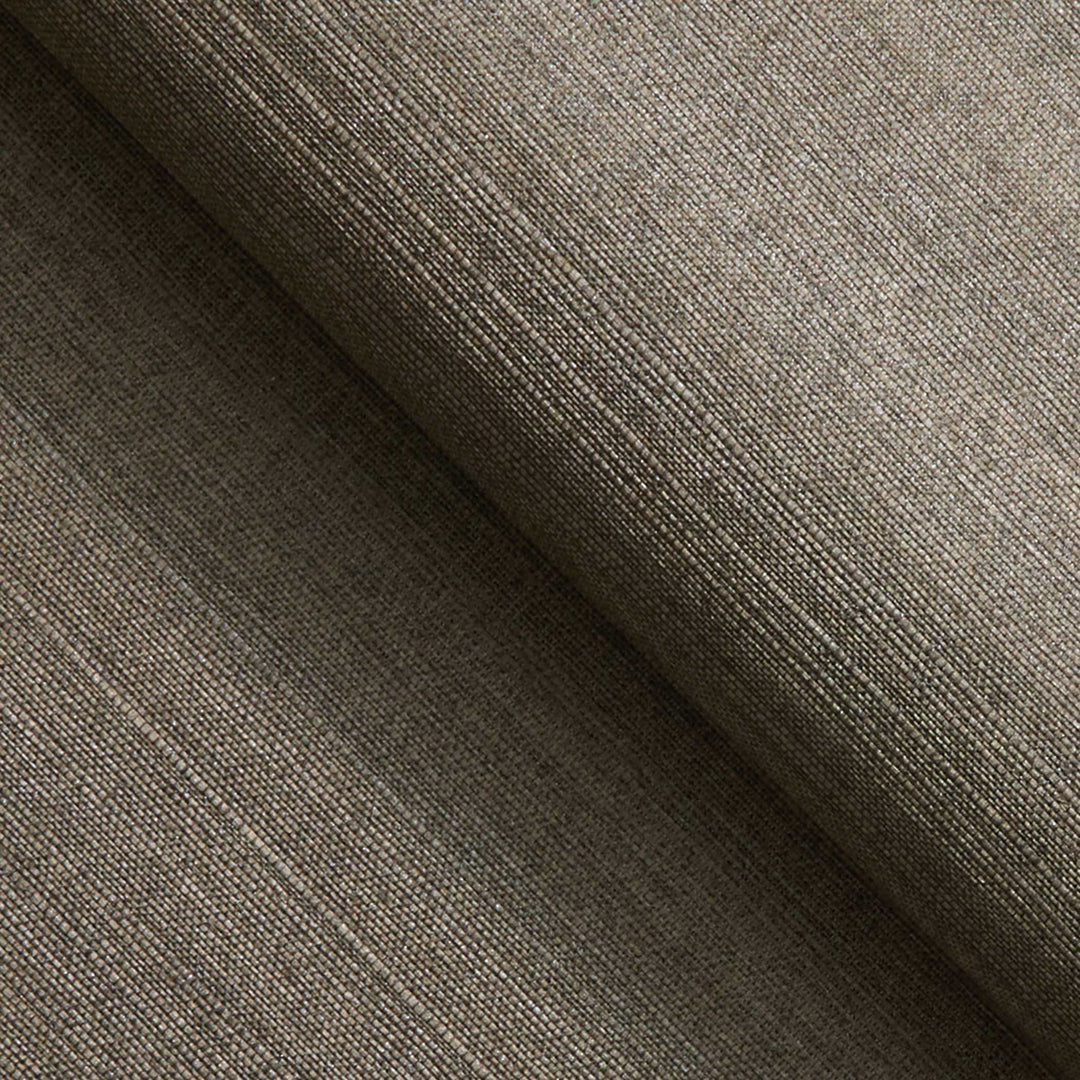 #color_light-brown-silver-tipped