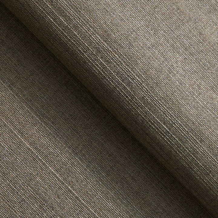 #color_light-brown-silver-tipped