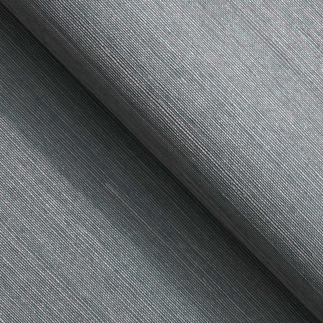 #color_light-blue-silver-tipped