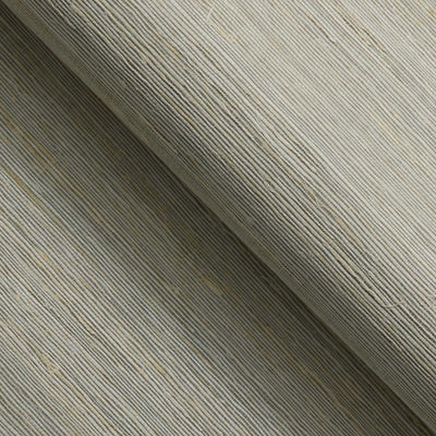 Image showcasing Grasscloth Wallpaper, Natural Fiber, Textured, Neutral | Tempaper