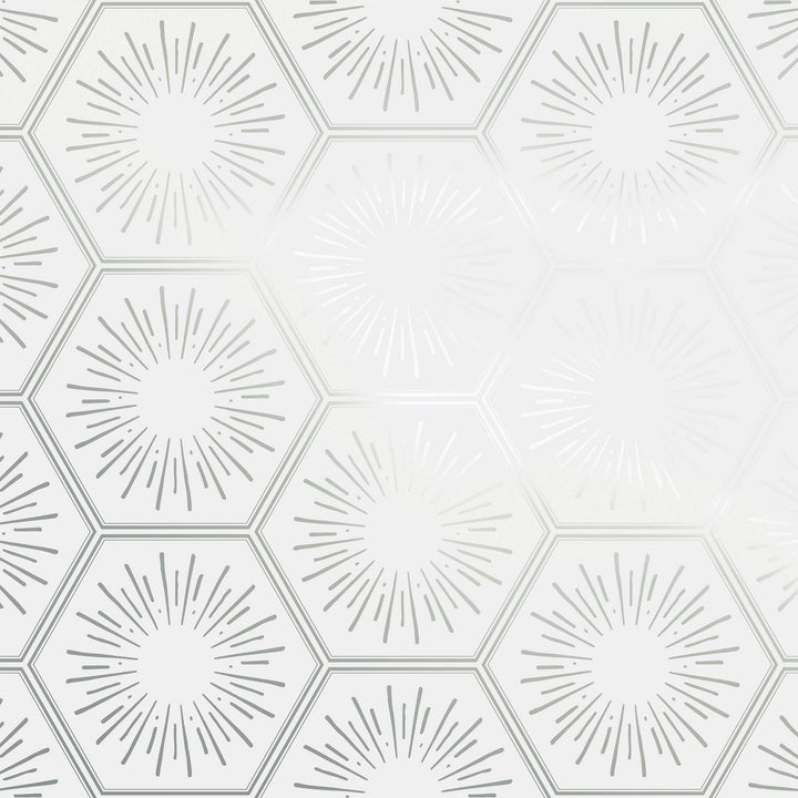 #color_metallic-platinum