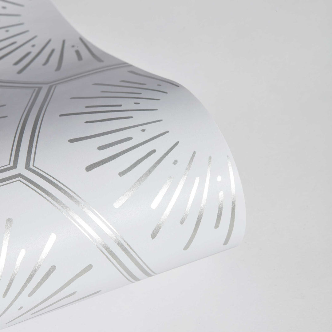 #color_metallic-platinum