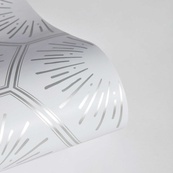 #color_metallic-platinum