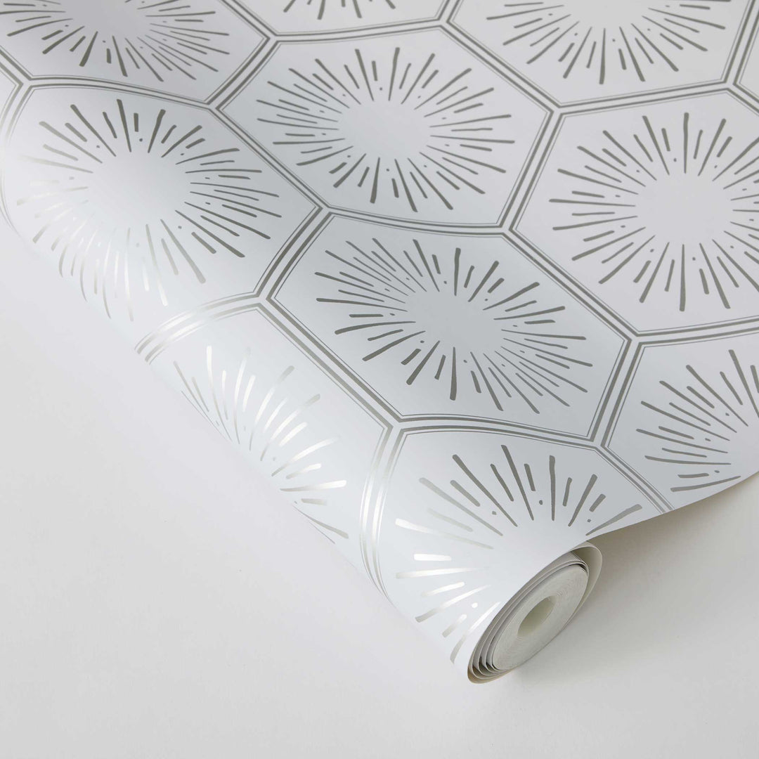 #color_metallic-platinum