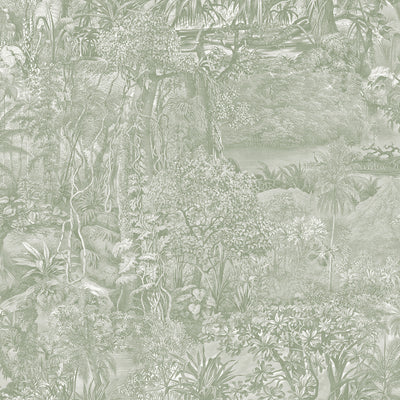 #color_moss-green-toile