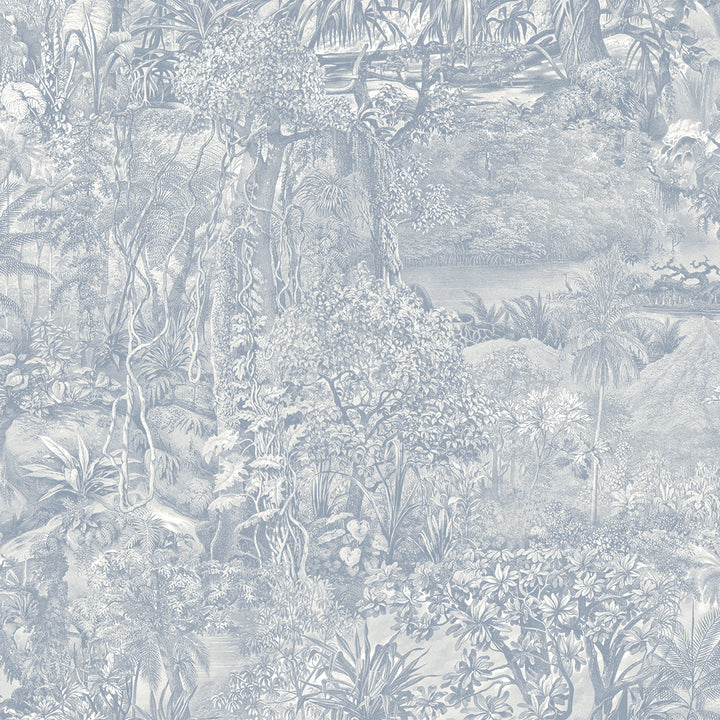 #color_cornflower-blue-toile