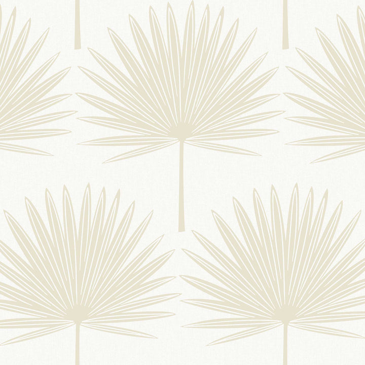 #color_sandstone-palm