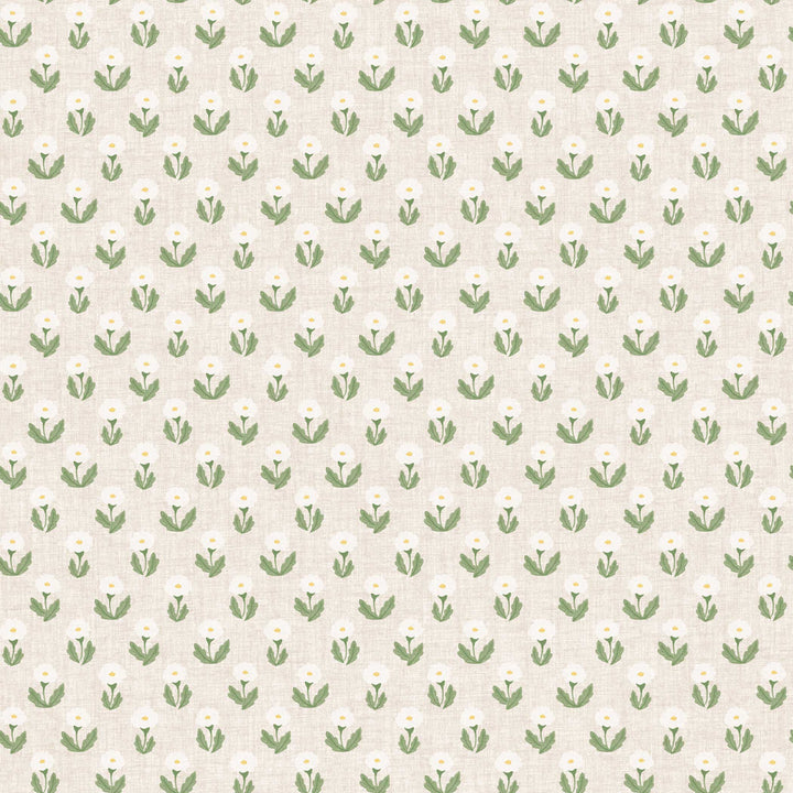 #color_white-and-green