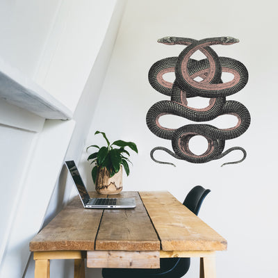 Twin Serpent Removable Wall Decal