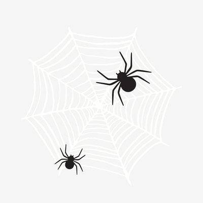 Spider Webs Removable Wall Decals