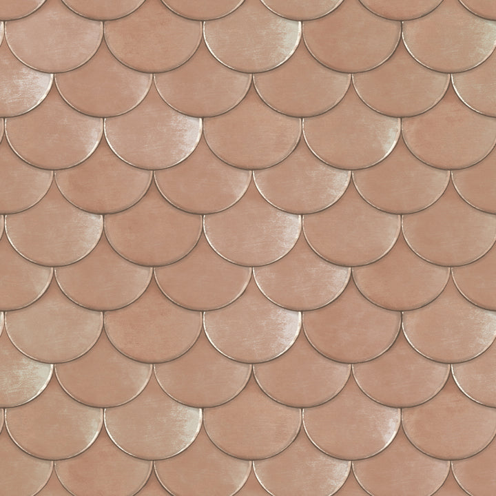 #color_blush-scallops