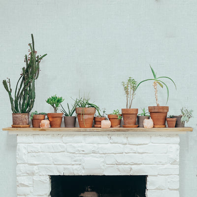 Burlap Removable Wallpaper - A white brick fireplace with several plants on top in a room featuring Burlap Peel And Stick Wallpaper in ocean mist burlap | Tempaper#color_ocean-mist-burlap