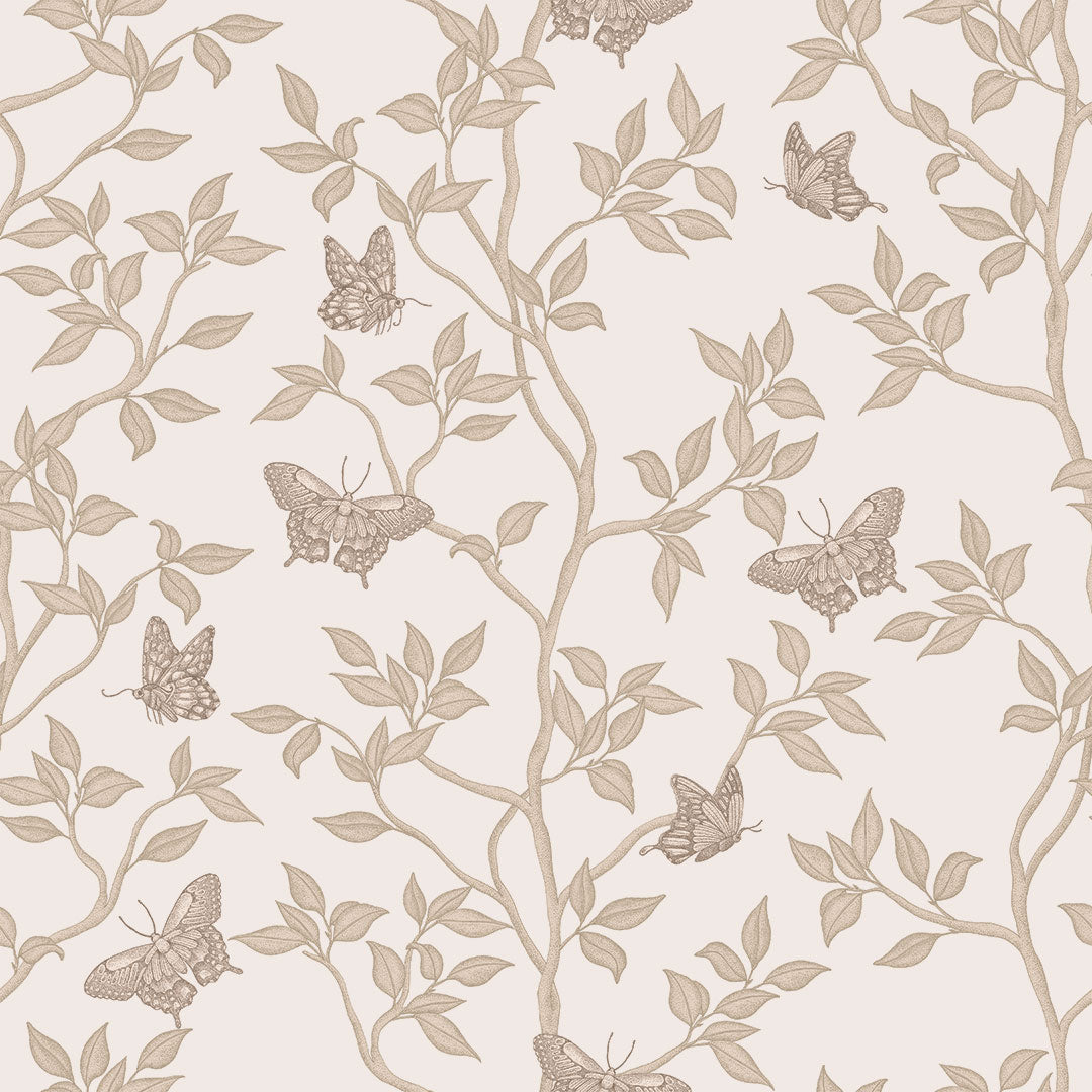 Monarch Non-Pasted Wallpaper - A swatch of Monarch Unpasted Wallpaper in fawn | Tempaper#color_fawn