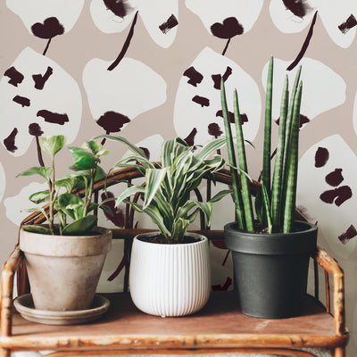Painted Palm Removable Wallpaper - Three plants on a bench in front of a wall featuring Painted Palm Peel And Stick Wallpaper in cocoa chic | Tempaper#color_cocoa-chic