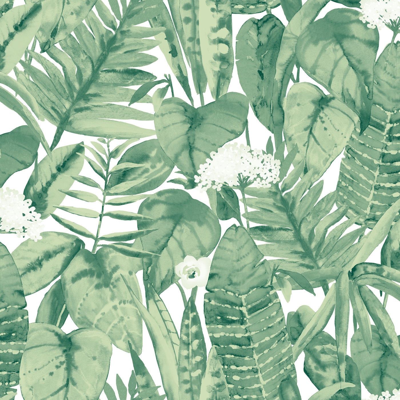 #color_jungle-green-leaves