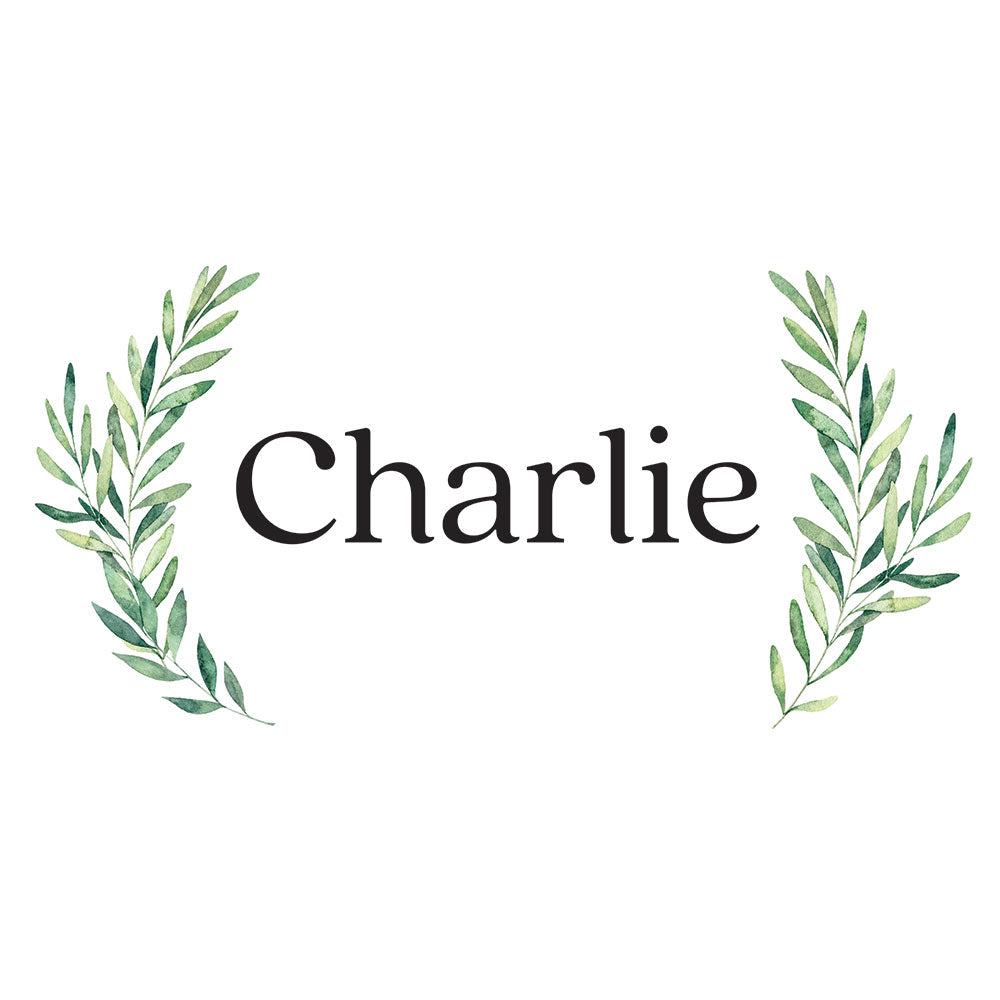 A close up view of Tempaper's Charlie custom name wall decal in black and green. #color_black