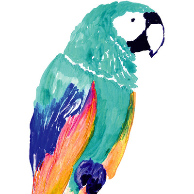 Parrot Wall Decal