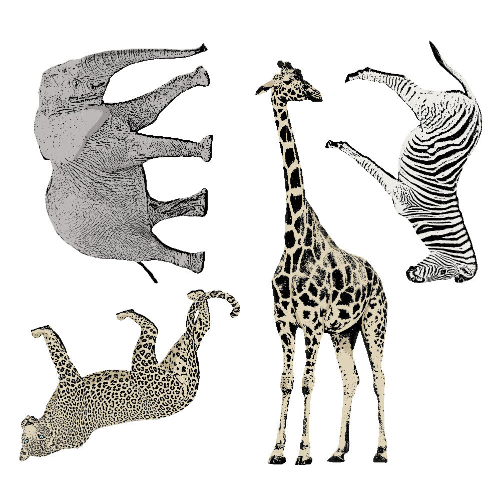 Safari Animals Removable Wall Decals