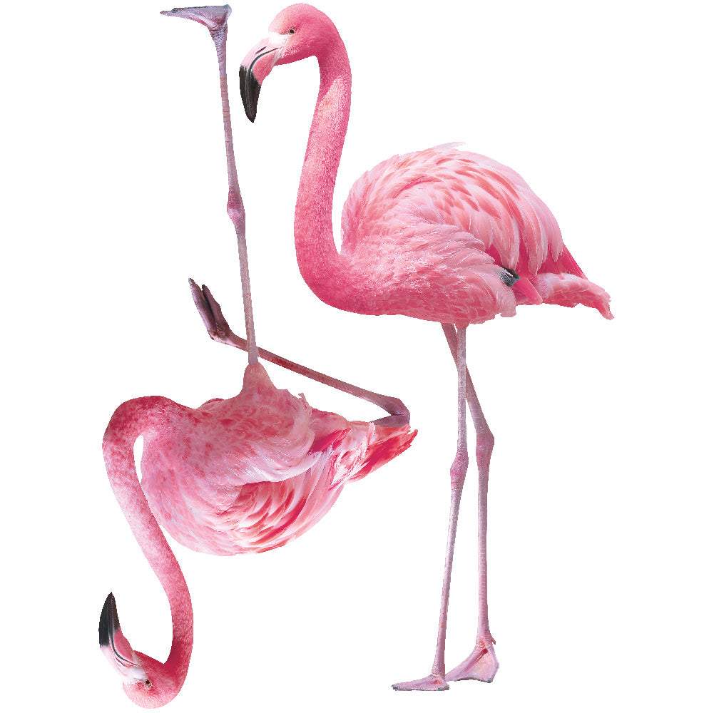 An up close view of Tempaper's Flamingos Wall Decals.