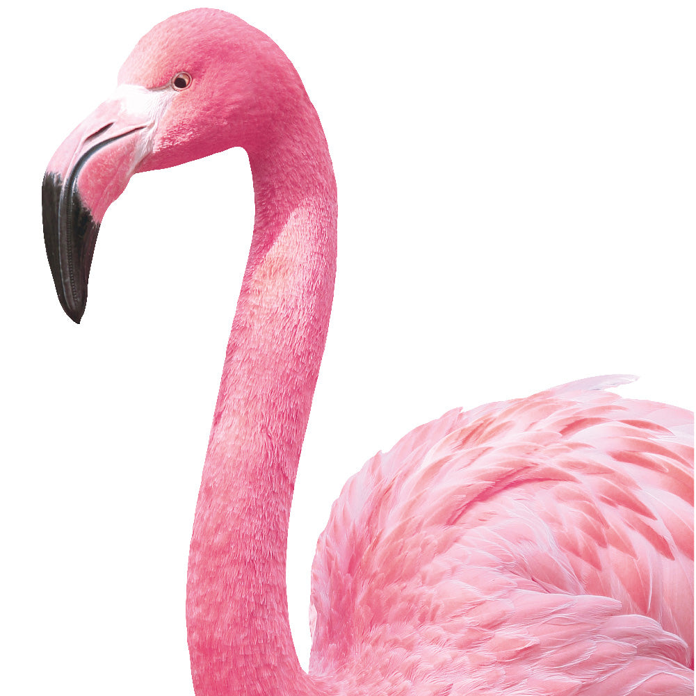 An up close view of Tempaper's Flamingos Wall Decals.