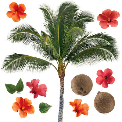 Palm Tree Removable Wall Decals