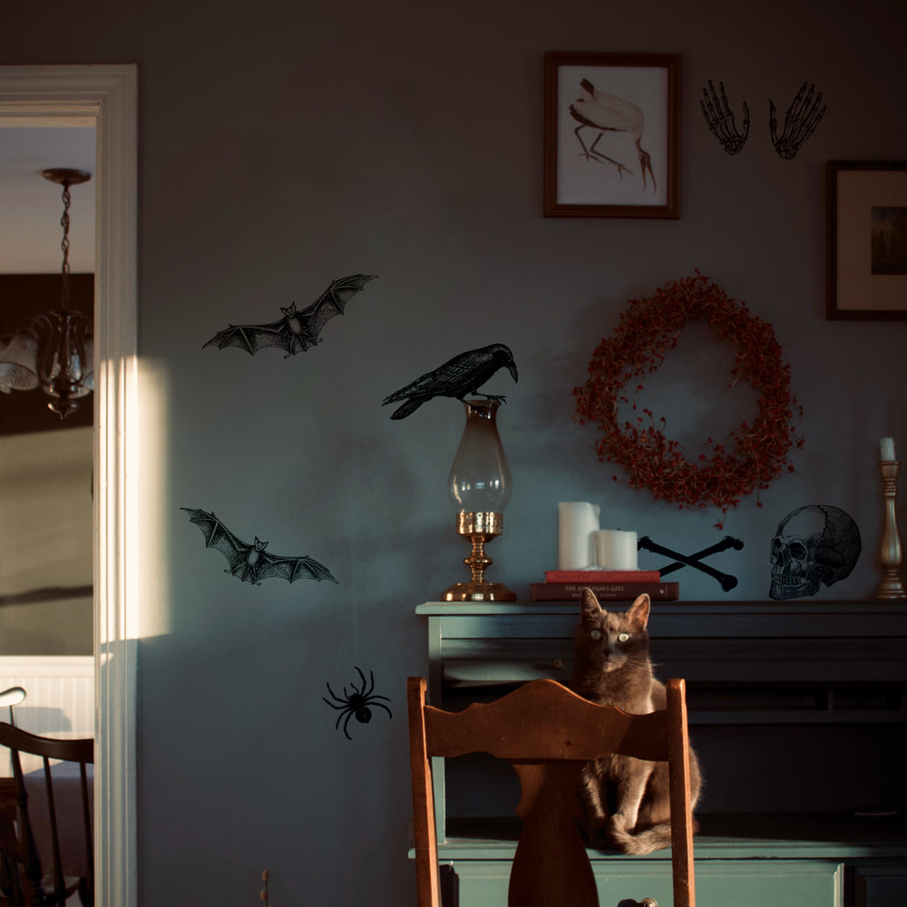 Vintage Horror wall decals on a wall, behind a cat.