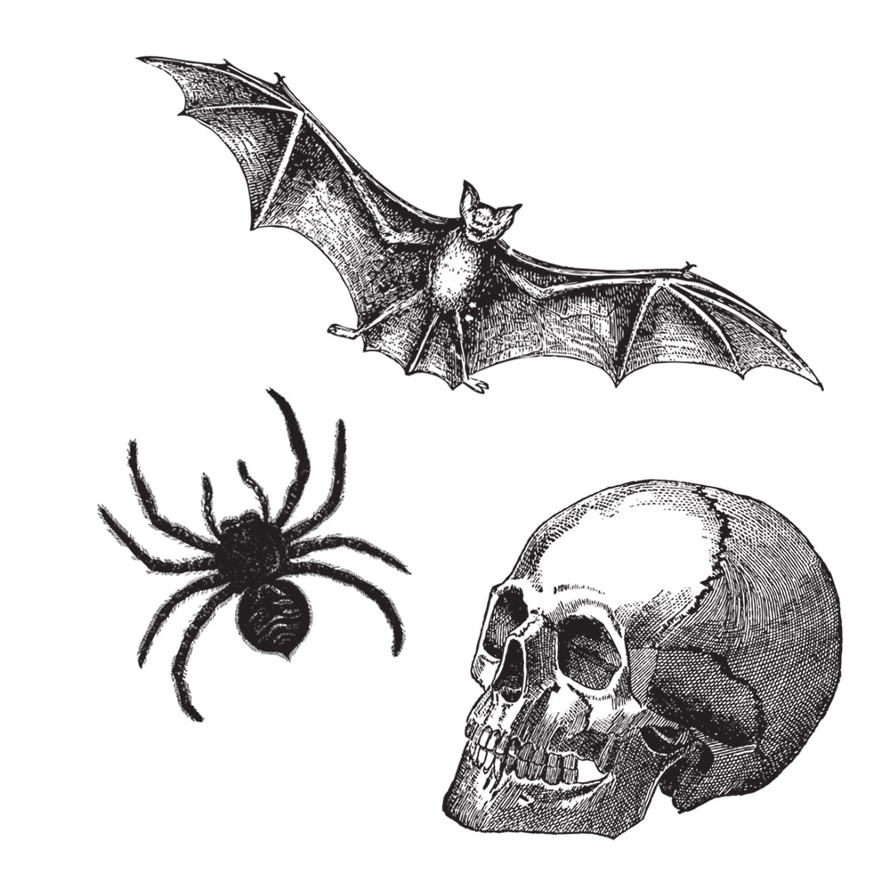 Vintage Horrors Removable Wall Decals - A bat, spider, and skull in Tempaper's Vintage Horrors Temporary Wall Decals | Tempaper
