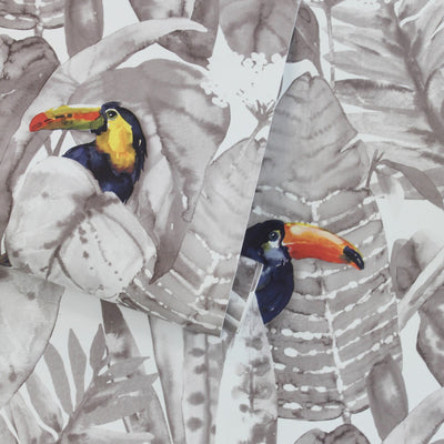 Toucan Removable Wallpaper - A roll of Toucan Peel And Stick Wallpaper | Tempaper