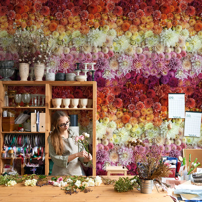 Tempaper's Dahlia Gradient Peel And Stick Wall Murals By Wright Kitchen shown behind a bookcase.